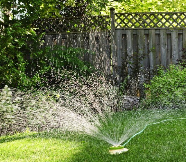 watering the apple tree