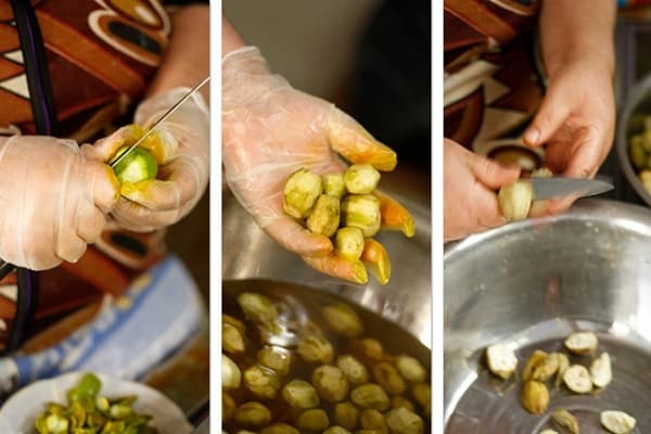 nuts for harvesting