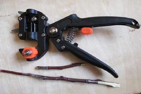 grafting pruner