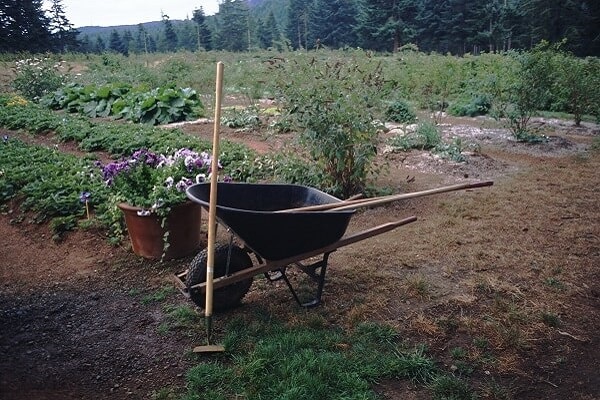 voiture de campagne