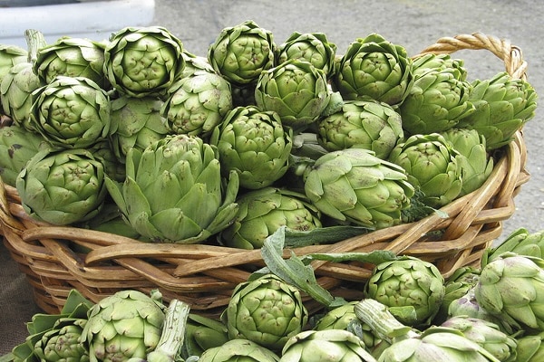 varieti artichoke