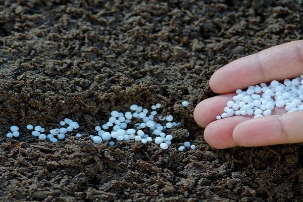 Fertilisant organique