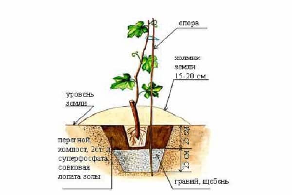 obrazac slijetanja