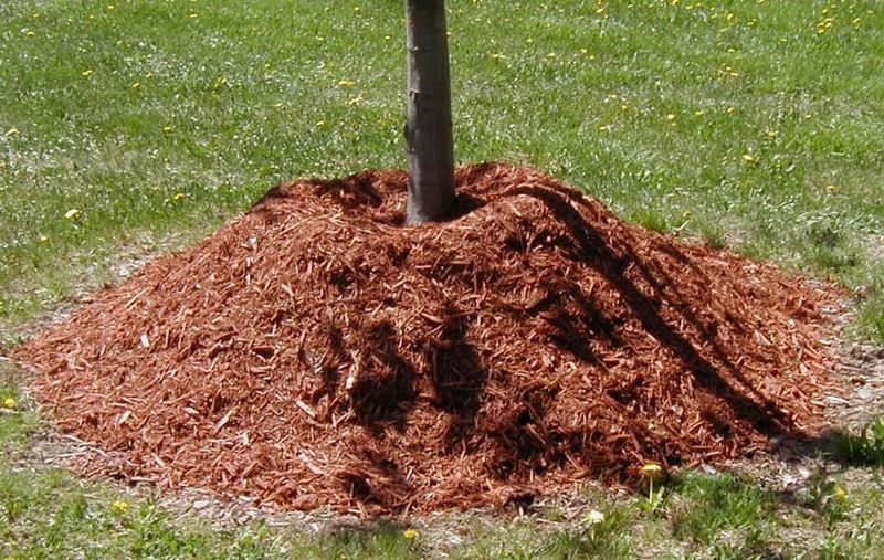 Soil mulching