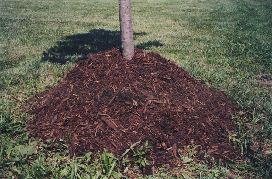 soil mulching