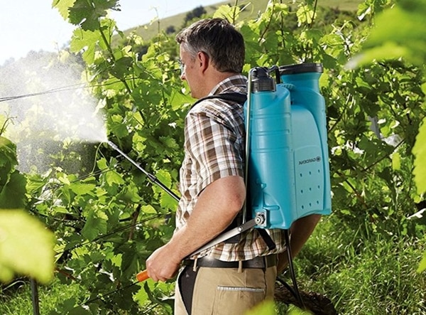 a man processes grapes in a vegetable garden