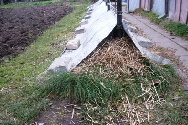 shelter for wintering