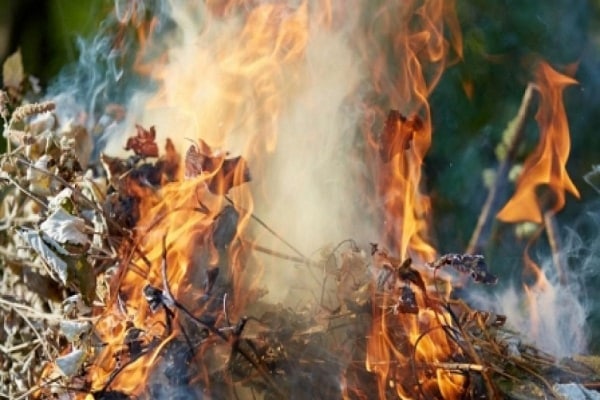 brûler les feuilles