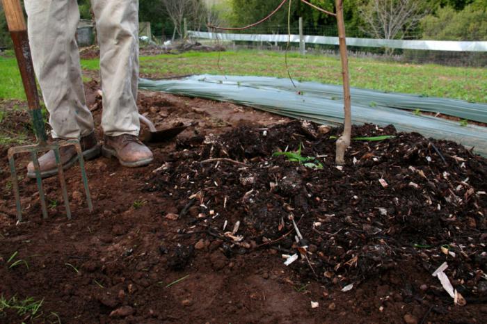 terre pour la plantation