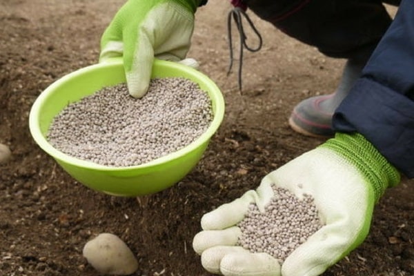 Nitrogen-containing granules