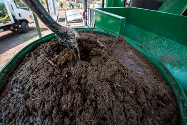 dripping manure