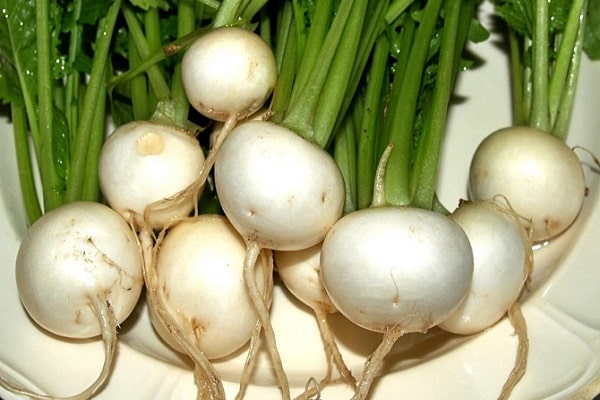 harvested crop