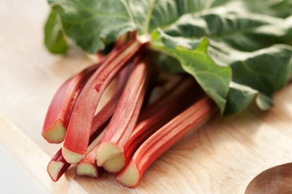 penerangan rhubarb