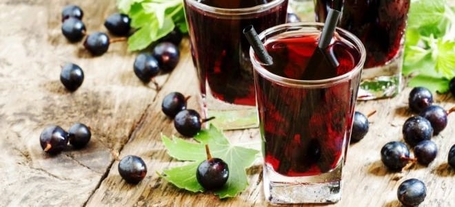 black currant juice