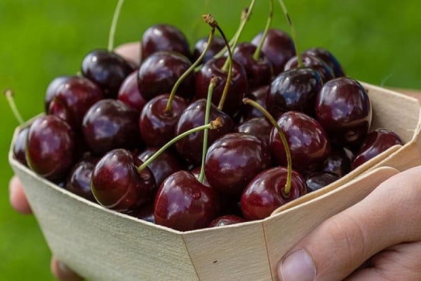 basket of berries