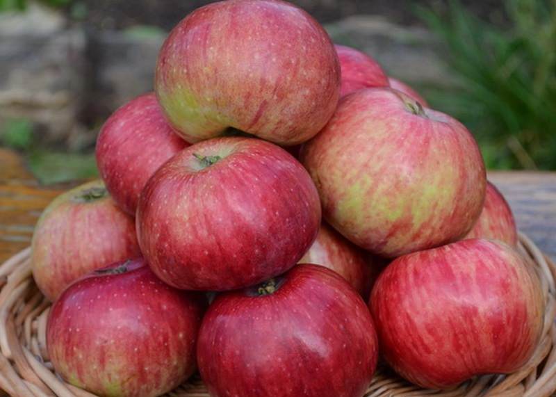 pommes dans un bol