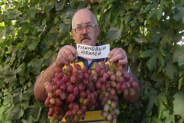 man holding a sign