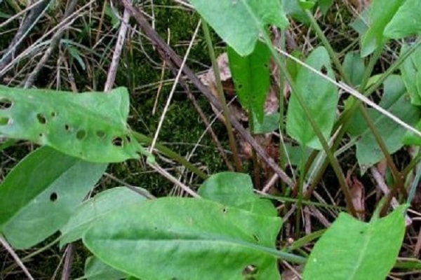 l'apparition de trous