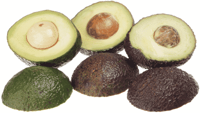 aguacate haas