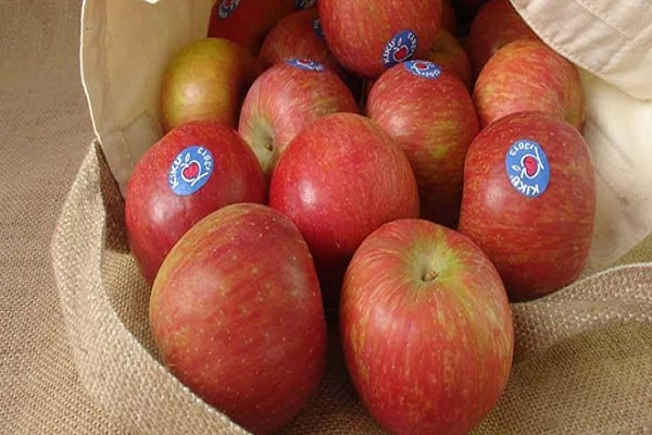 Kiku apples