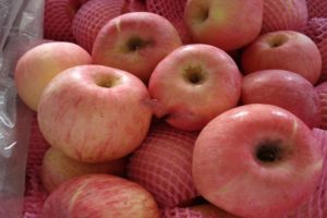 Description and characteristics of the variety and varieties of Fuji apples, fruiting and cultivation