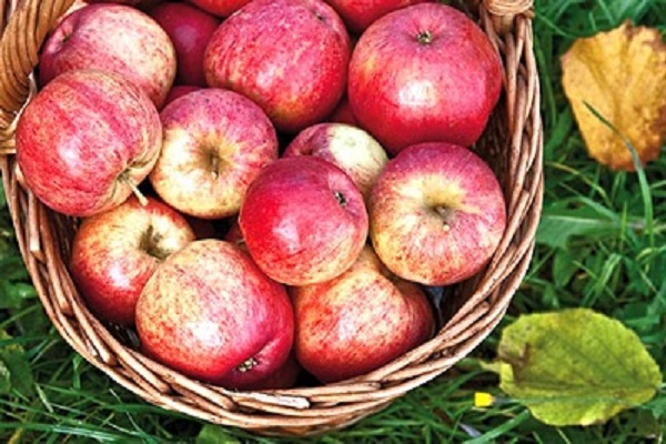 frutas en una canasta