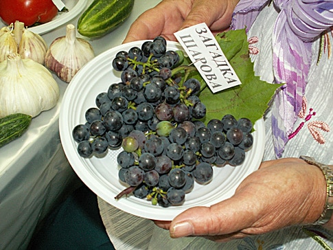 acertijo de uvas de Sharov