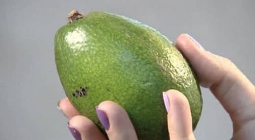 green avocado