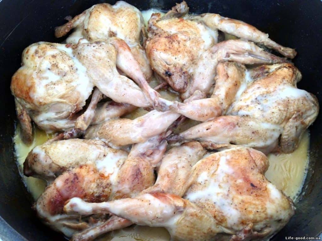 Quail in sour cream sauce