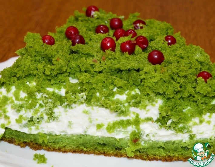 Mousse de forêt