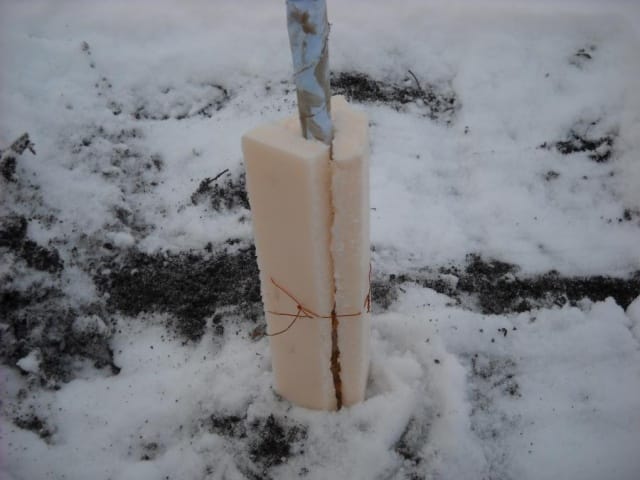 apple tree shelter