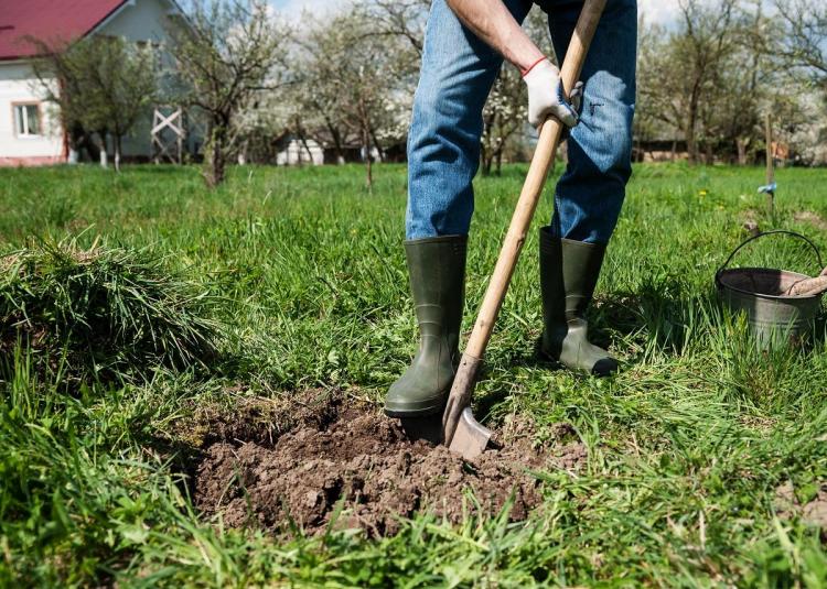 digging a hole