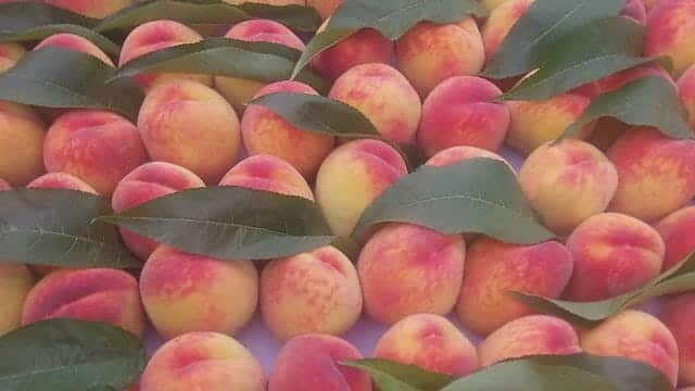 storing peaches