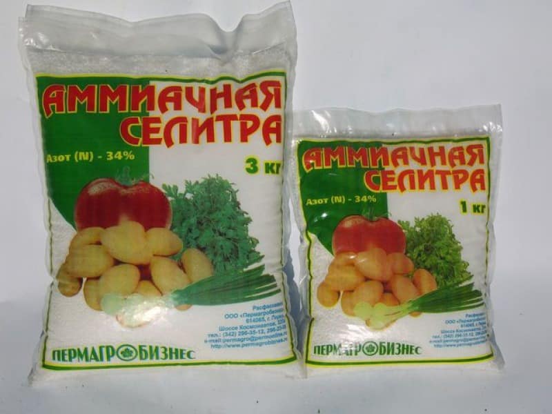  Ammonium nitrate