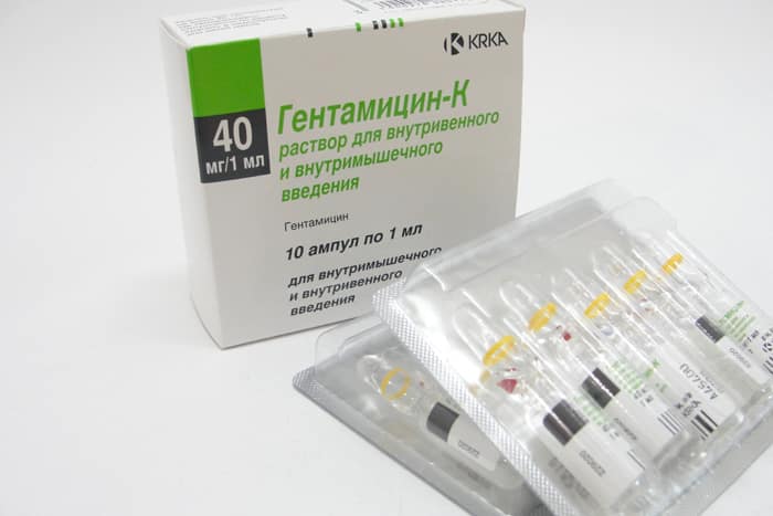 drug Gentamicin