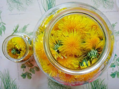 Dandelion broth