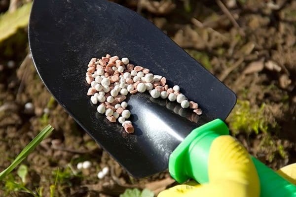 shovel pellets