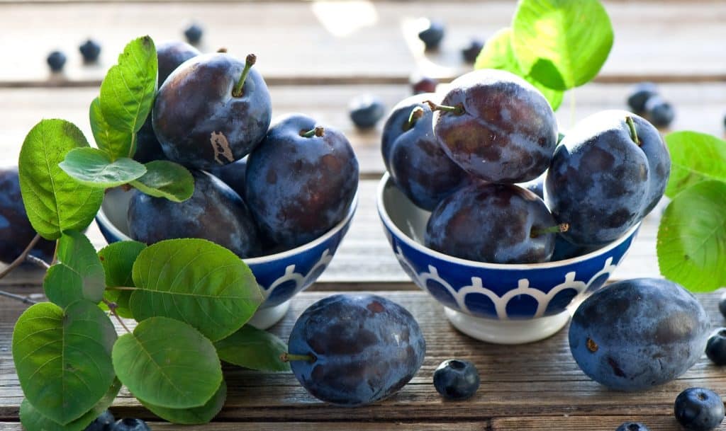 stockage de prune