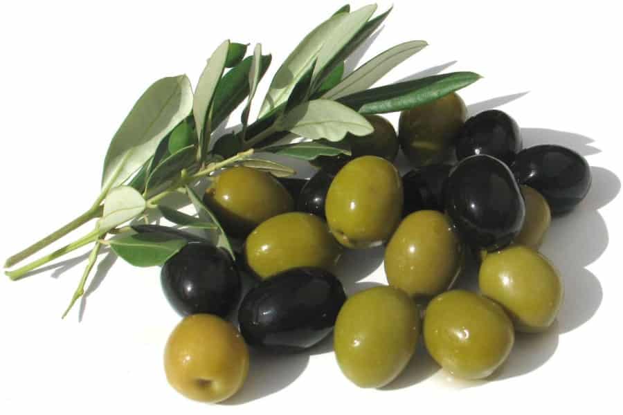 different olives