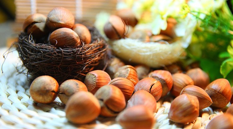 hazelnuts