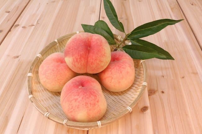 storing peaches