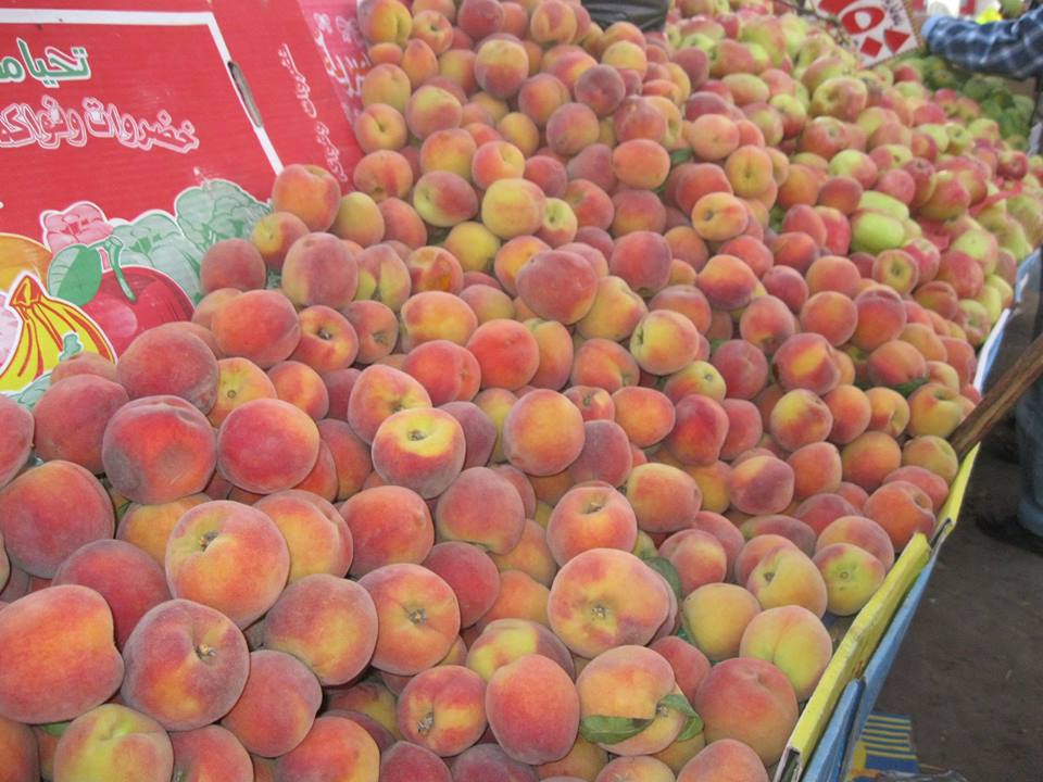 storing peaches