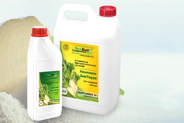 Droga bioterra