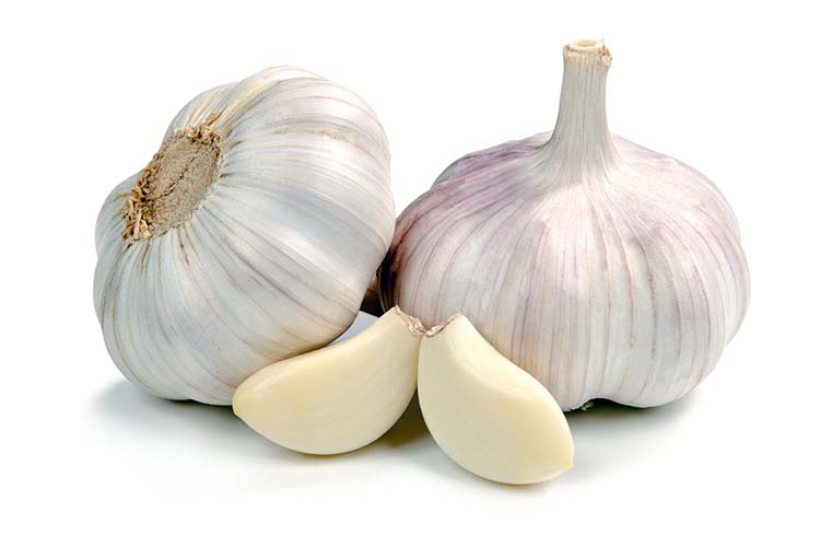 head of garlic