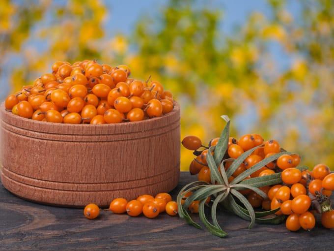 Ripe sea buckthorn