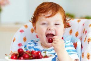 Beneficios para la salud y daños de las cerezas, contenido calórico y composición, cómo almacenar una baya.