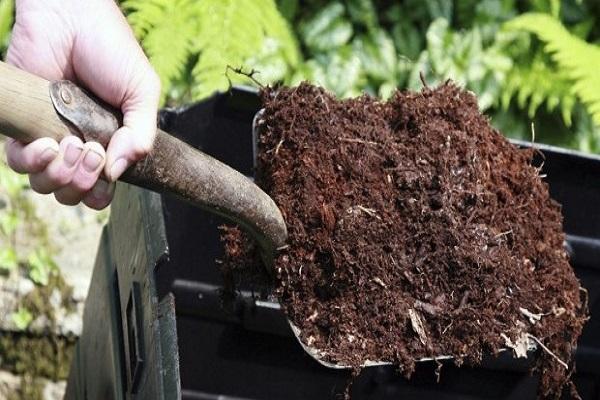 compost on a shovel