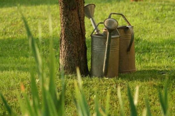 watering cans