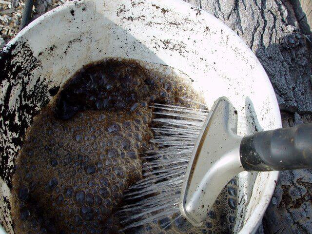 a bucket of dissolved mullein.