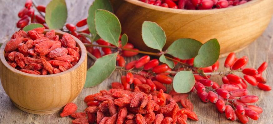 barberry medicinal properties